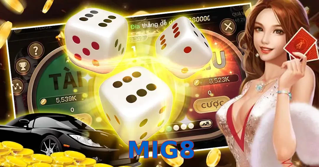 MIG8